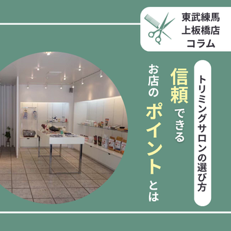 練馬区内でお探しの方へ】トリミングサロンの選び方!信頼できるお店の 練馬区内でお探しの方へ】トリミングサロンの選び方!信頼できるお店の