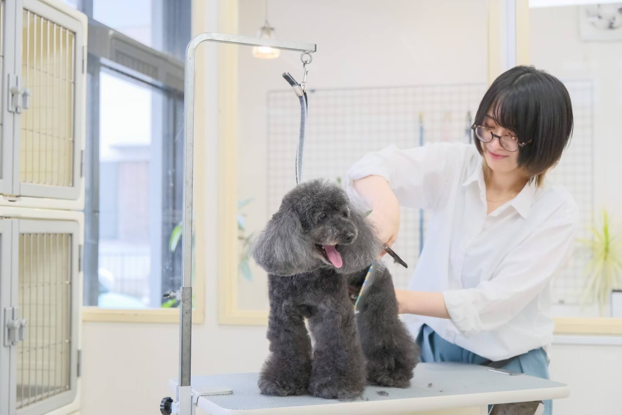 アイズドッグ 店舗・スタッフ画像3